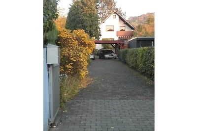 Im romantischen Rheintal bei Bonn