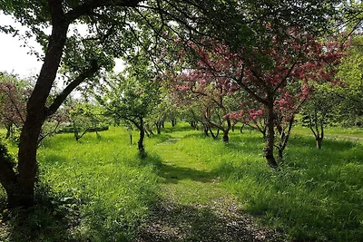 8 Personen Ferienhaus in Sæby-By Traum