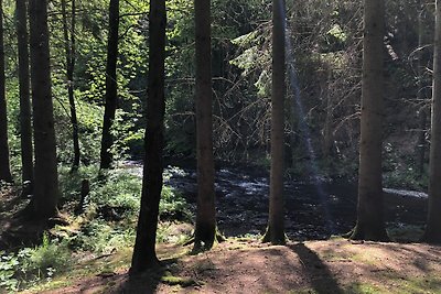 Ardennenvilla mit Garten am Fluss und...