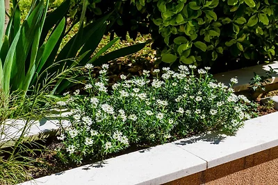 Apartment Veronika - One Bedroom Apartment wi...