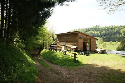 Gezellig vakantiehuis met tuin in Walscheid