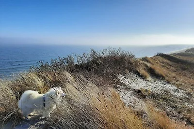 14 persoons vakantie huis in Sæby