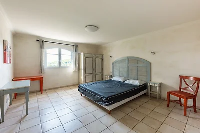 D. de Camiole M N°105 - 4P8