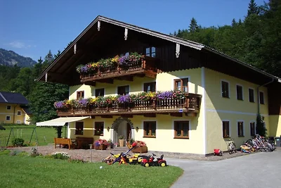 Almgut Farm || Faistenau