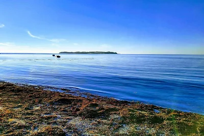 Gemutliches Ferienhaus mit Kamin -- By Traum...