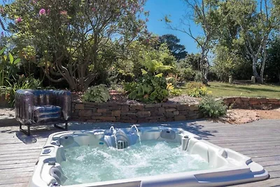 Goldener Ginster · Ploumanach Außergewöhnlich