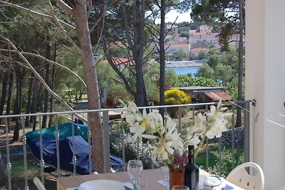 Komfortable Wohnung mit überdachter Terrasse