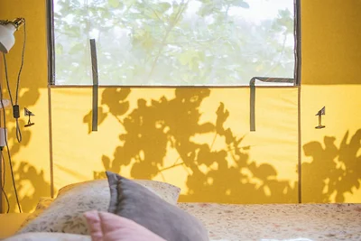 Glamping en la isla del Patrimonio Adriático