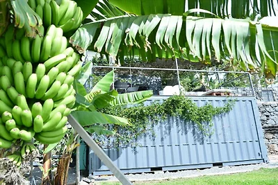 Quinta Golfinho - Villa Rosa