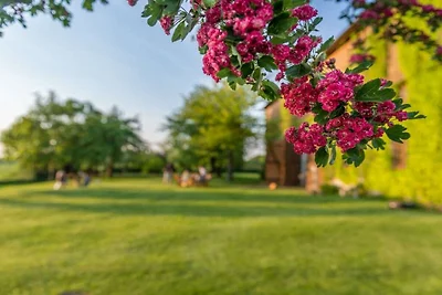 Grevenstein in der Gutsscheune Thorstorf