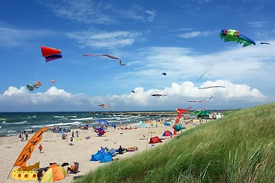 Ferienhäuser in der Nähe des Meeresstrandes