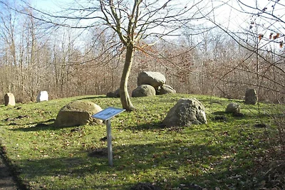 6 Personen Ferienhaus in Præstø-By Traum