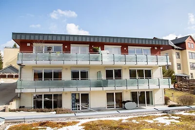 Holiday apartment in Oberhof with Wi-Fi