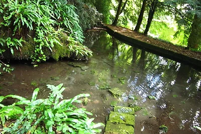 Gemütliches Schloss mit Pool