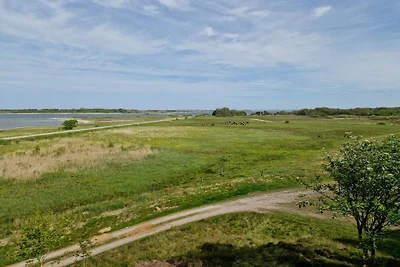 6 persoons vakantie huis in Thyholm-By Traum