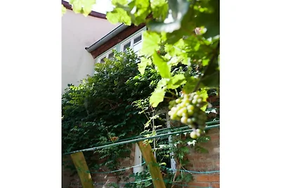 Mooi appartement in Quedlinburg
