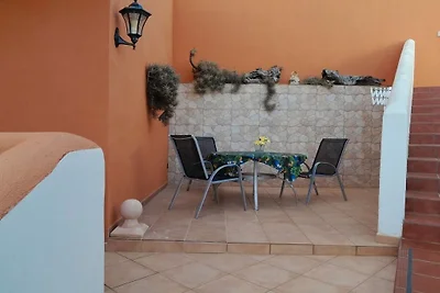 Finca Palmeras 2