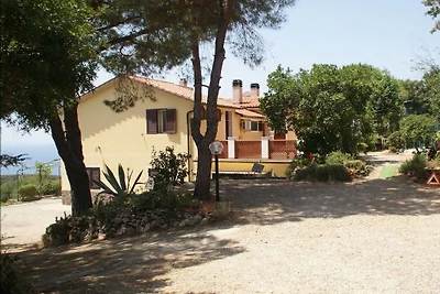Elisio (OG) Casa Elisio