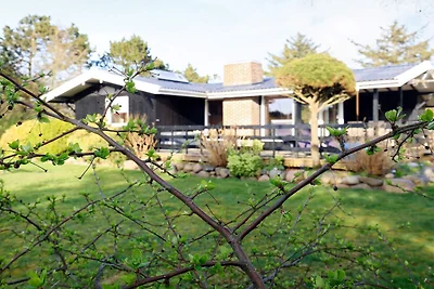 4 Personen Ferienhaus in Hurup Thy-By Traum