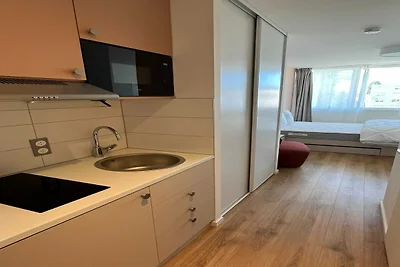 Vakantieappartement Gezinsvakantie Mulhouse