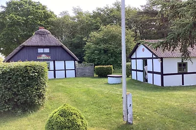 6 Personen Ferienhaus in Læsø
