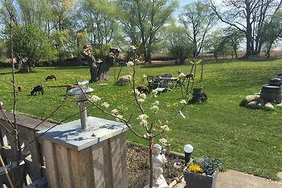 Ferienhaus mit Kamin am Achterwasser in Lütow