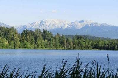 In de regio (zomer) (>5 km) In de regio (zomer) (>5 km)