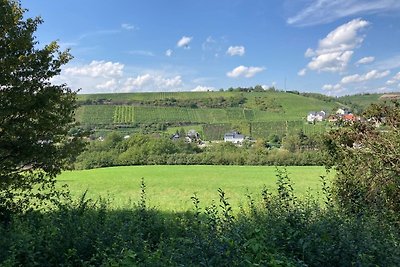 Schönes Ferienhaus mit Terrasse