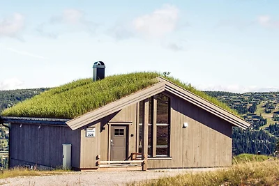 10 Personen Ferienhaus in Fåvang