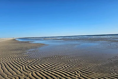 Kustenflucht in Sonderho -- By Traum...