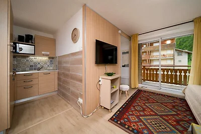 Gezellige studio met gemeenschappelijk...