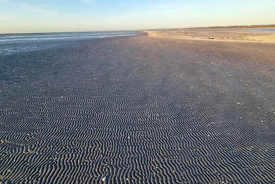 Meeresruhe in Lyngsa-By Traum