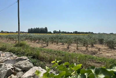 Vakantieappartement in Pisa met zwembad
