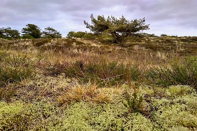 5 Personen Ferienhaus in Fanø