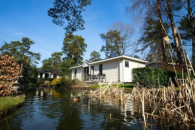 Modernes Achterhoek-Chalet für 6 Personen