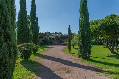 Casa Nina Authentic Corsica house