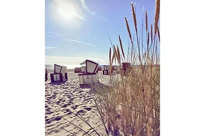 Stranddüne 19 am Strand