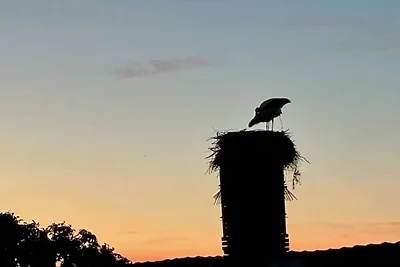 Ferienidyll in Gielow an der Seenplatte
