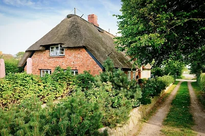Ferienhaus mit 3 Schlafzimmer