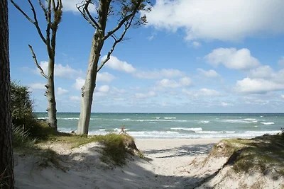 Holiday home relaxing holiday Fuhlendorf
