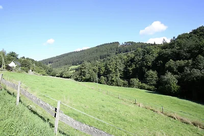 Appartamento a Schmallenberg con giardino...