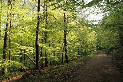 Kuća za odmor Dopust za oporavak Losheim am See
