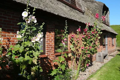 Ferienhaus mit 5 Schlafzimmer