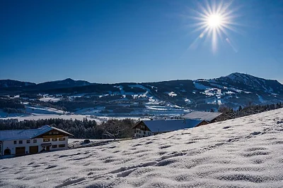 Arnika auf dem Berghof Lingg