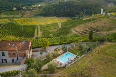 Villa in Lucca mit Weingut und Aussicht