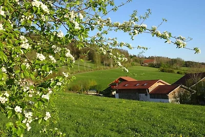 Irlmühl "Spatzennest"