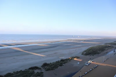 Wohnung in Nieuwpoort am Strand