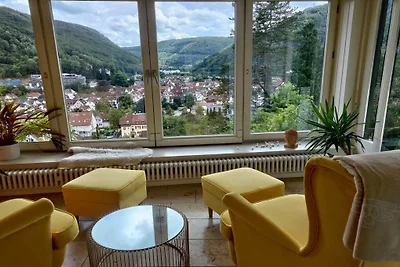 Villa Freudenberg