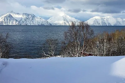 6 persoons vakantie huis in Olderdalen