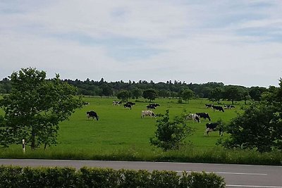 Landhaus Ostfriesland